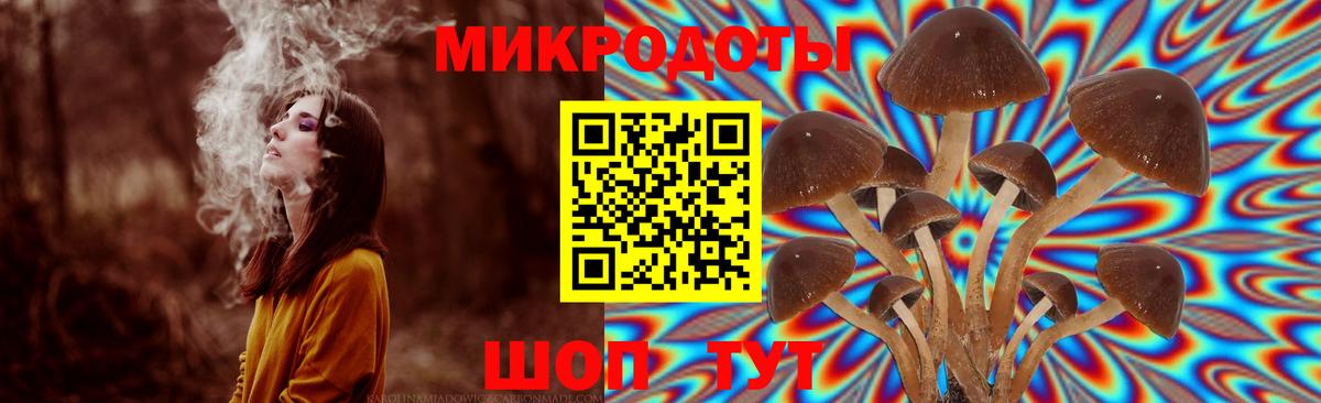Галлюциногенные грибы прущие грибы Лениногорск