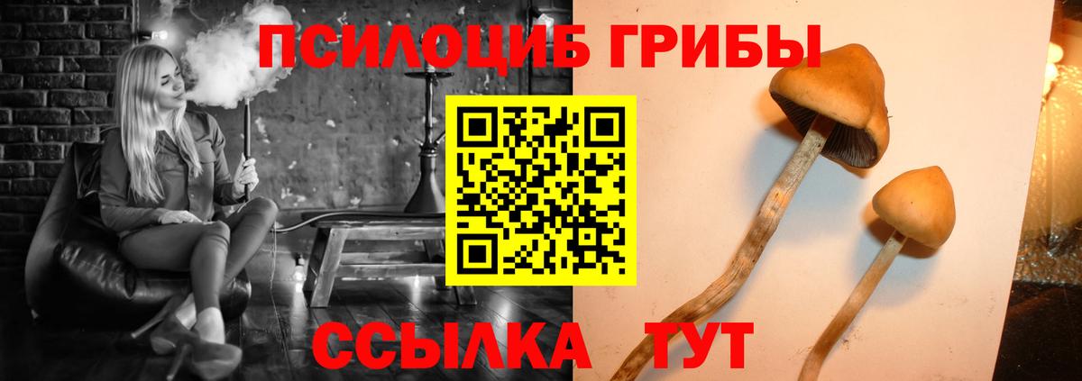 Псилоцибиновые грибы мицелий  Вход с VPN  Псилоцибиновые грибы прущие грибы  Лениногорск 